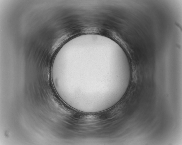 X0000102250059200808151826