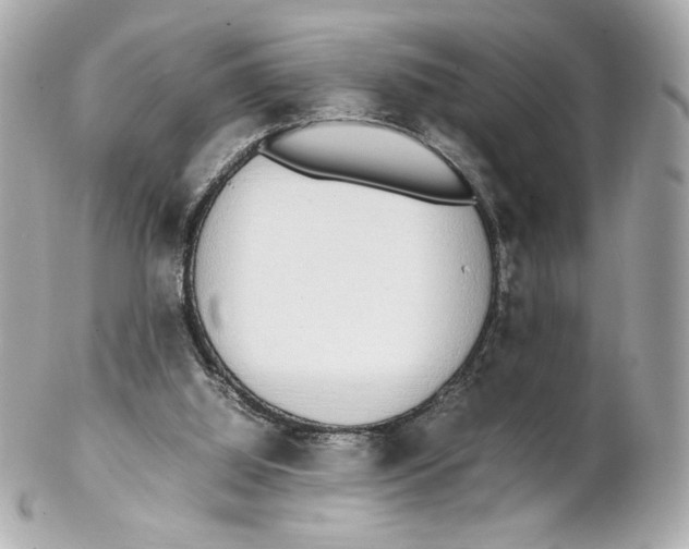 X0000102250060200808151826