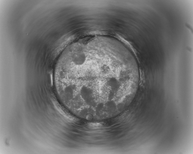 X0000102250061200808151826