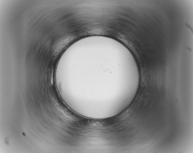 X0000102250062200808151826