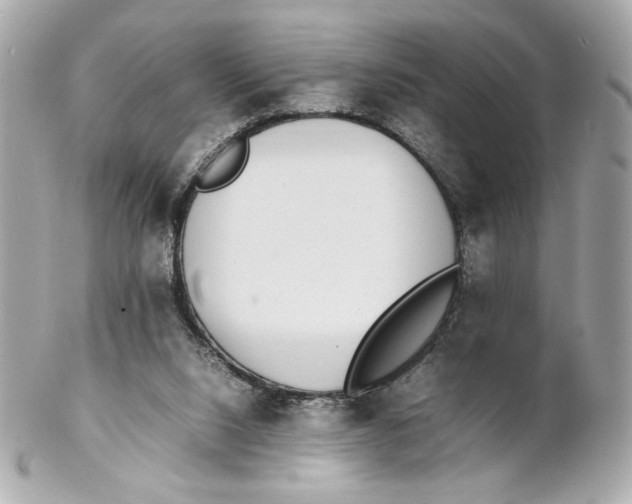 X0000102250064200808151826