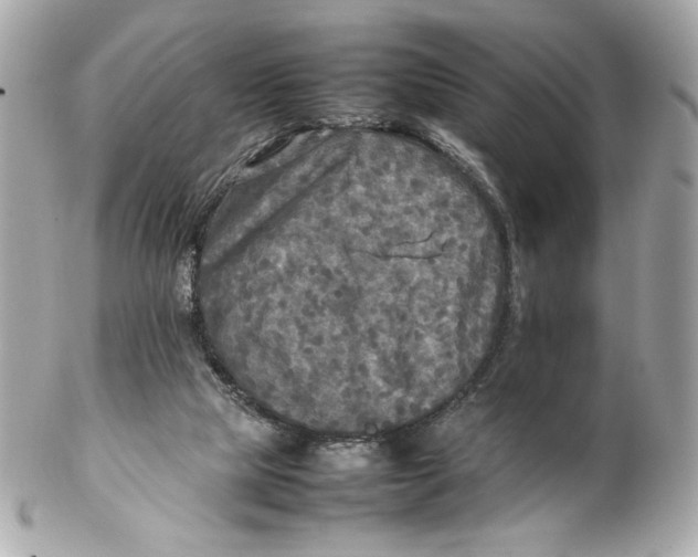 X0000102250065200808151826