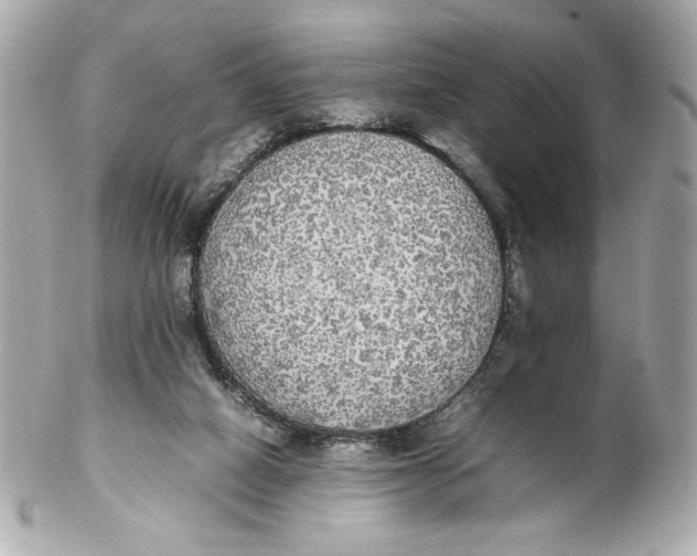 X0000102250066200808151826