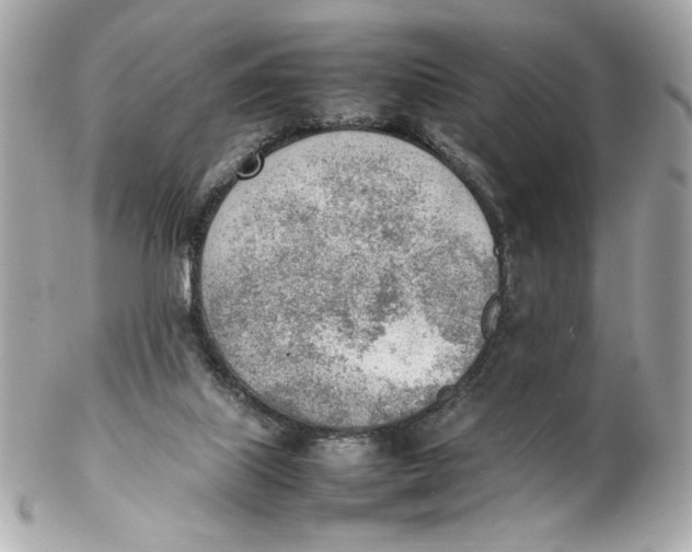 X0000102250067200808151827