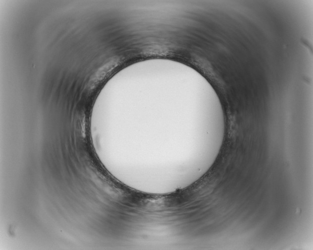 X0000102250068200808151827