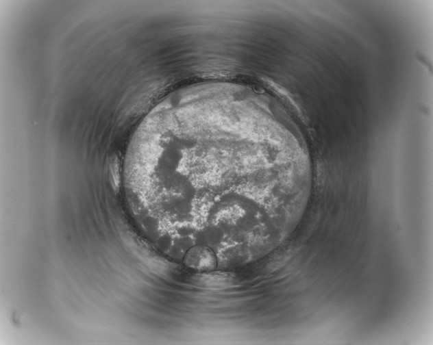 X0000102250069200808151827