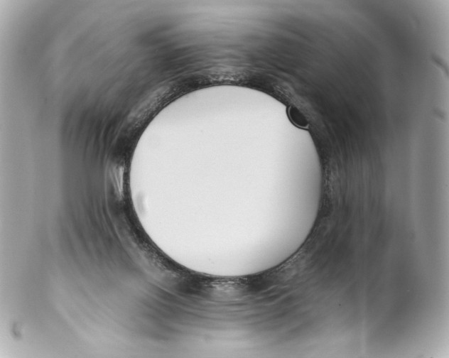 X0000102250070200808151827