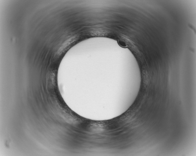 X0000102250071200808151827