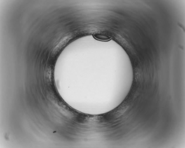 X0000102250072200808151827