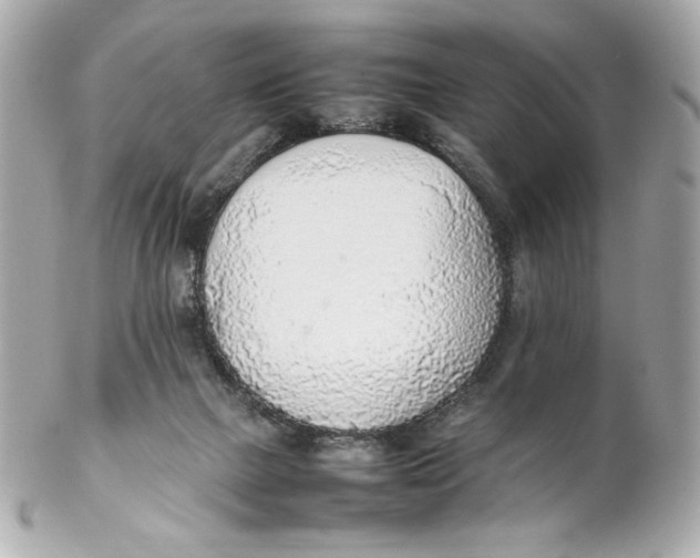 X0000102250073200808151827