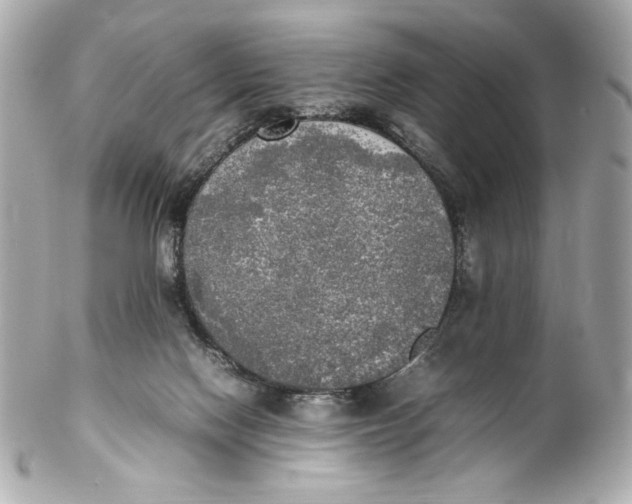 X0000102250074200808151827