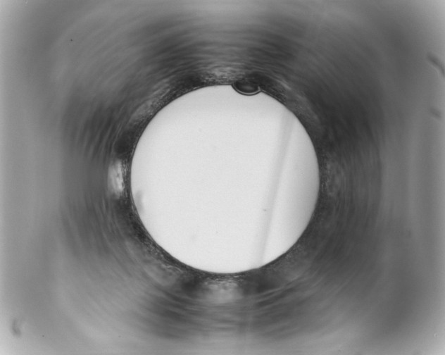 X0000102250075200808151827