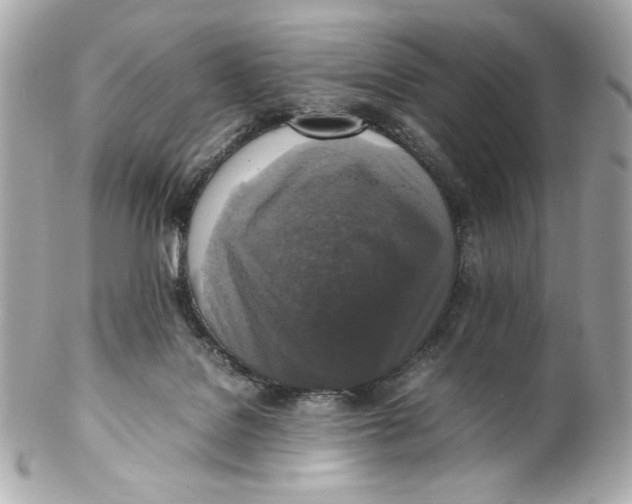 X0000102250076200808151827