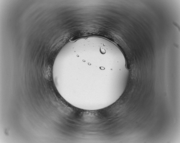 X0000102250077200808151827