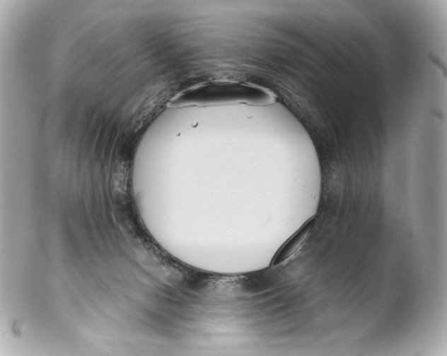 X0000102250078200808151827