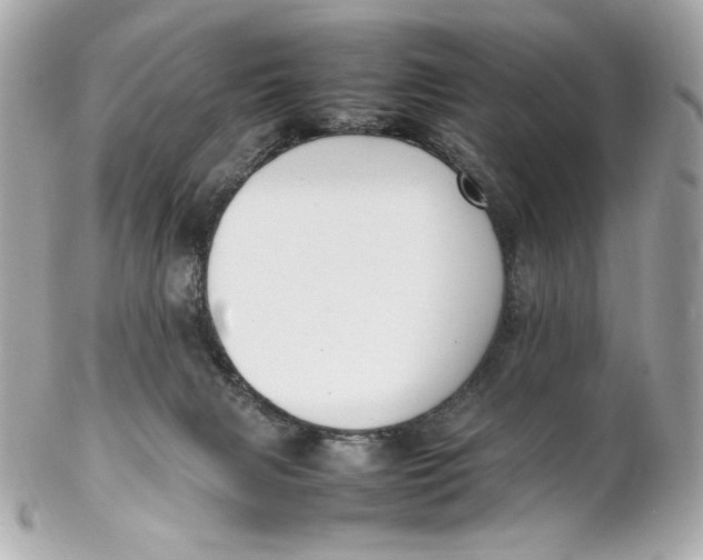 X0000102250079200808151827