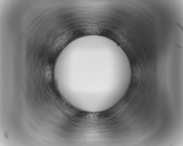 X0000102250080200808151827