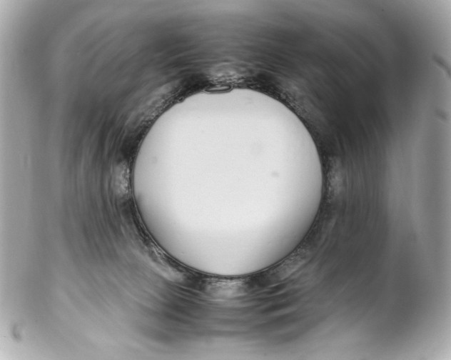 X0000102250081200808151827