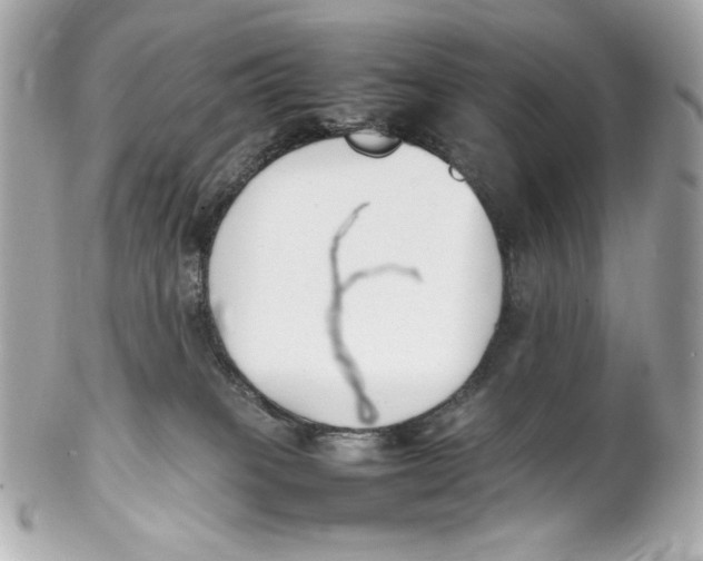 X0000102250085200808151827