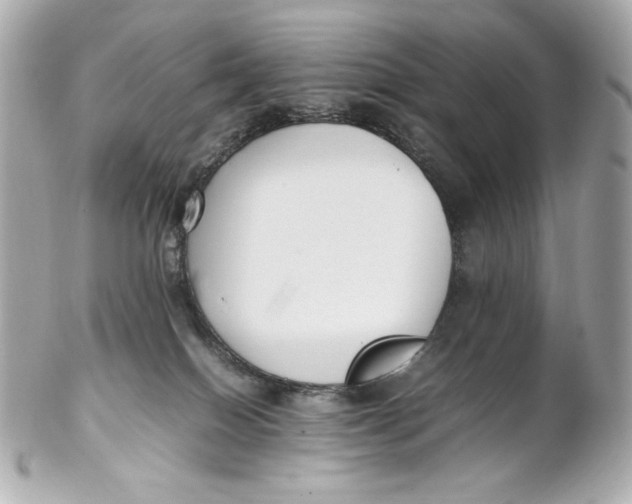 X0000102250086200808151827