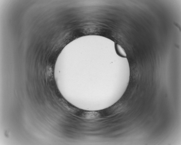 X0000102250087200808151827