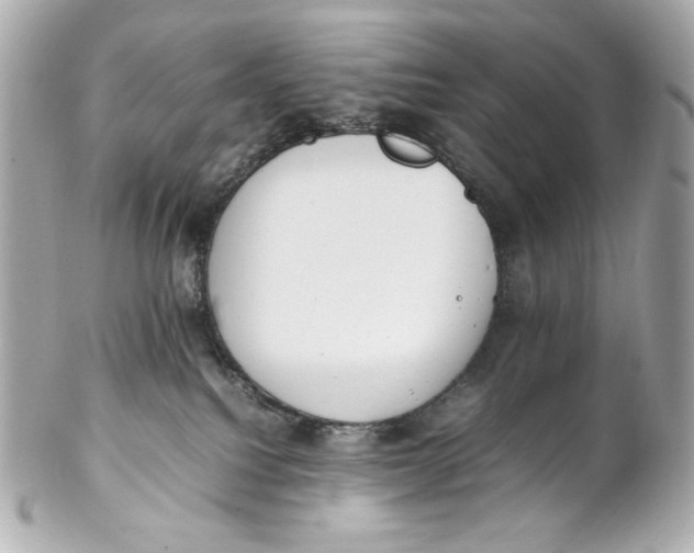 X0000102250088200808151827