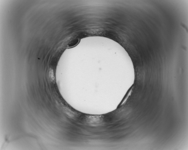 X0000102250089200808151827