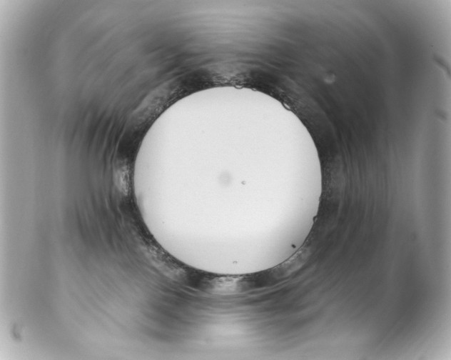 X0000102250090200808151827