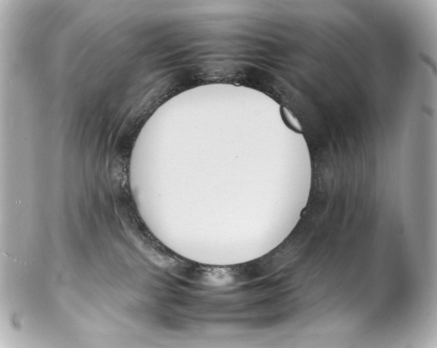 X0000102250091200808151827