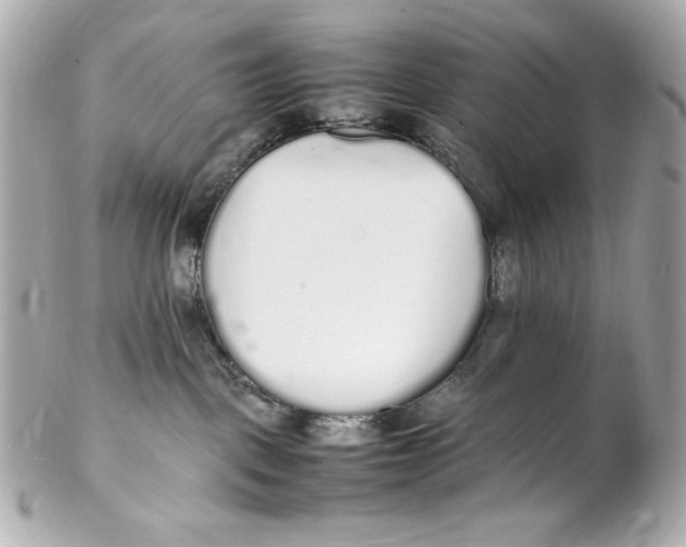 X0000102250093200808151827