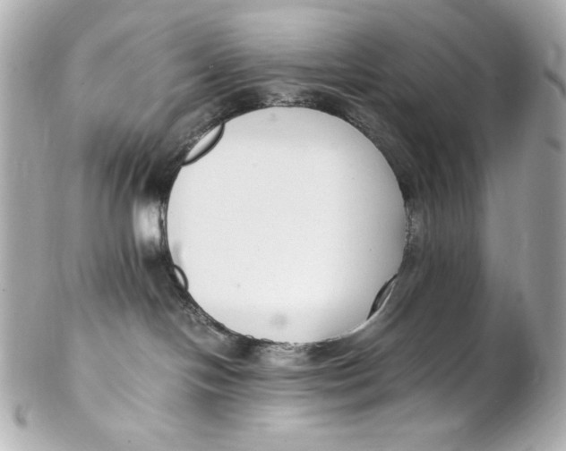 X0000102250094200808151827