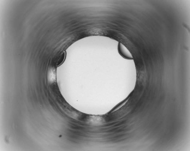 X0000102250095200808151827
