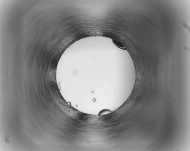 X0000102250096200808151827