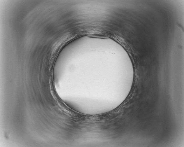 X0000102250097200808151826