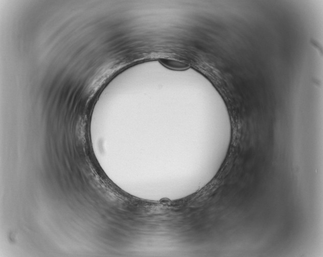X0000102250098200808151826