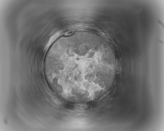 X0000102250099200808151826