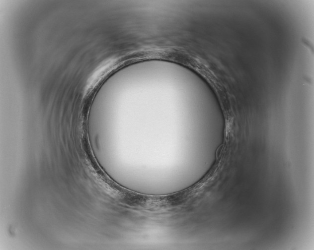 X0000102250101200808151826