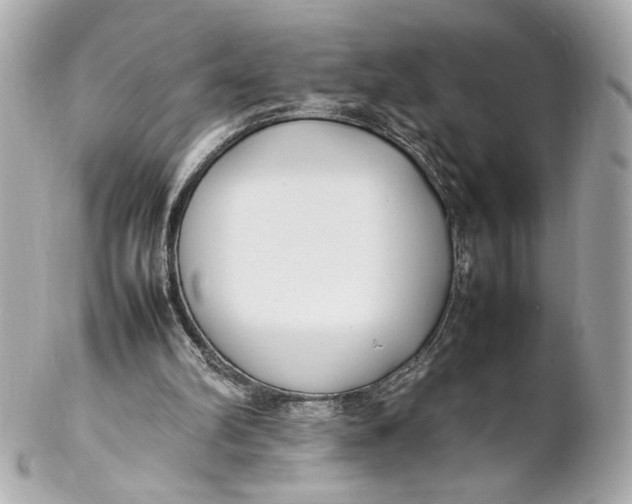 X0000102250102200808151826