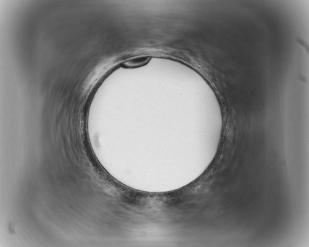 X0000102250103200808151826