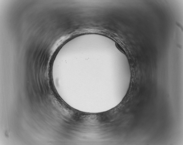 X0000102250104200808151826