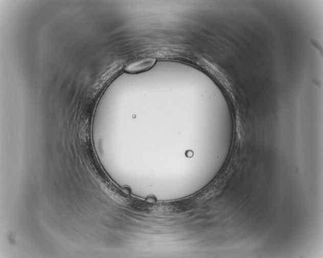 X0000102250105200808151826