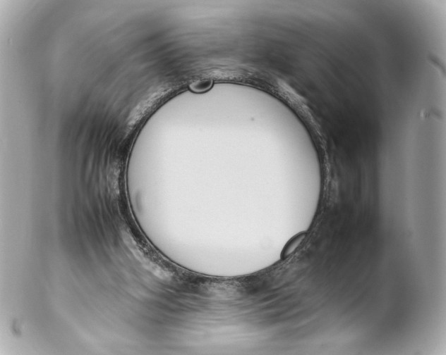 X0000102250106200808151826