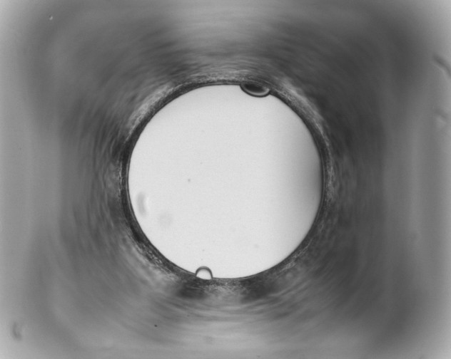 X0000102250107200808151826