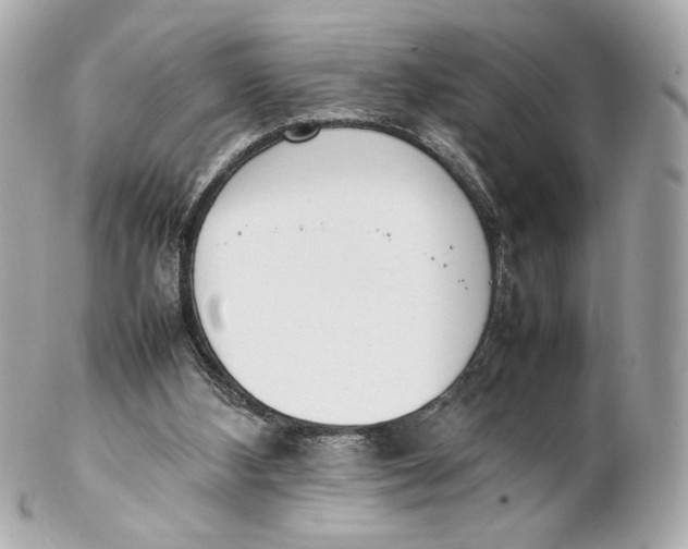 X0000102250108200808151826
