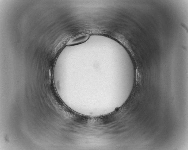 X0000102250109200808151826
