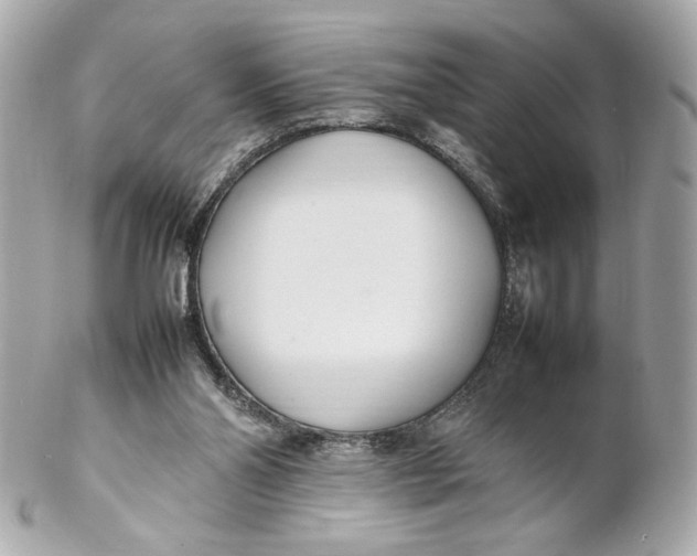 X0000102250110200808151826
