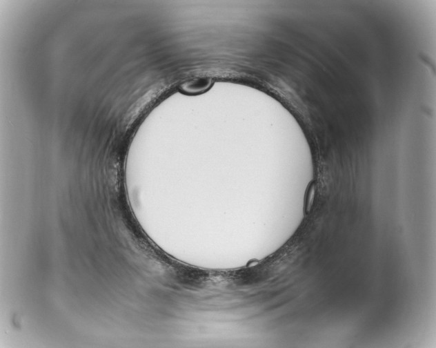 X0000102250111200808151826