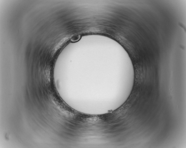 X0000102250112200808151826