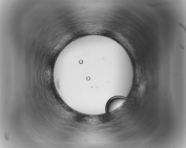 X0000102250113200808151826