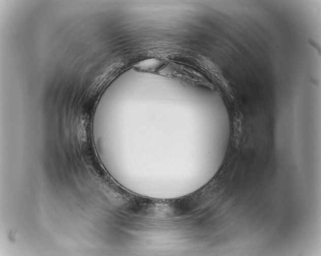X0000102250114200808151826